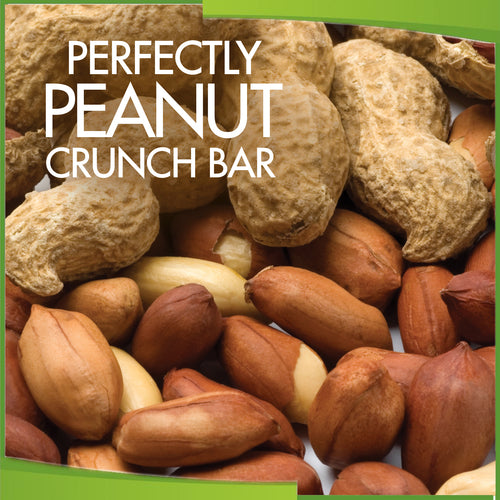 Perfectly Peanut Protein Bar